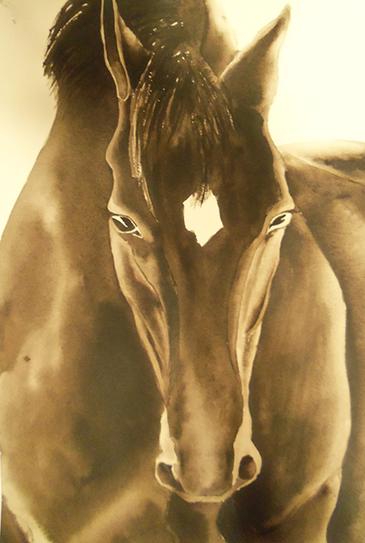 Horse Head Last Shot