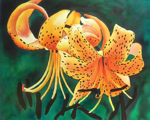 Hummers and Last Tiger Lily