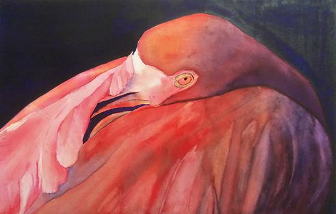 Pink Flamingo