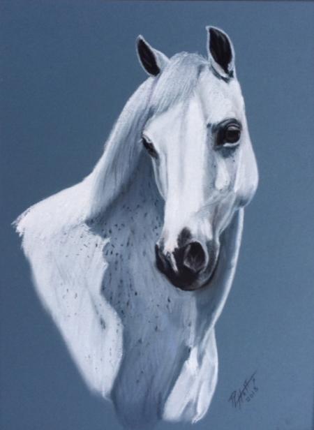 Roger Hoff 6