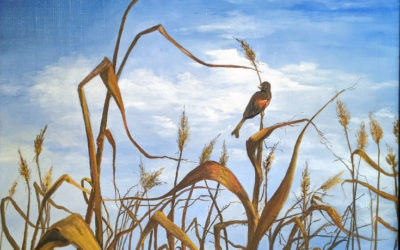 A Bird and Weeds and Sky