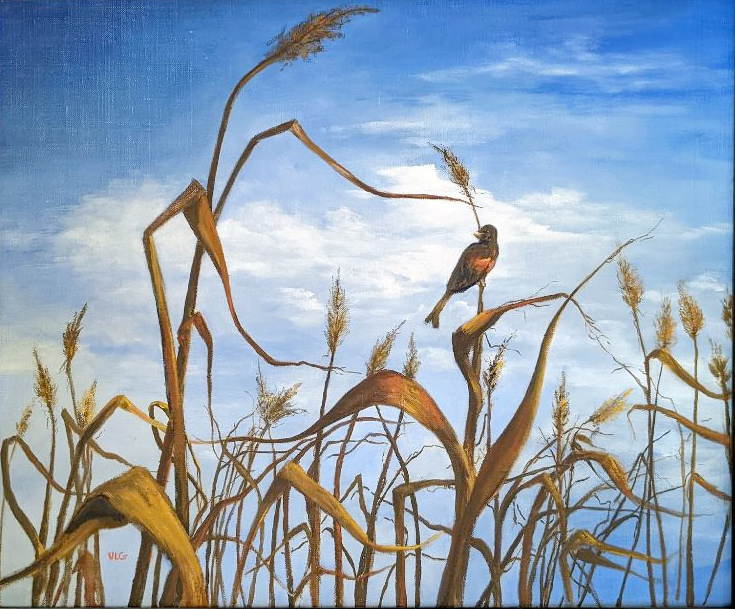 Oil painting of a bird on the top of a tall weed surrounded by other late season browned weeds against a deep blue sky with white fluffy clouds