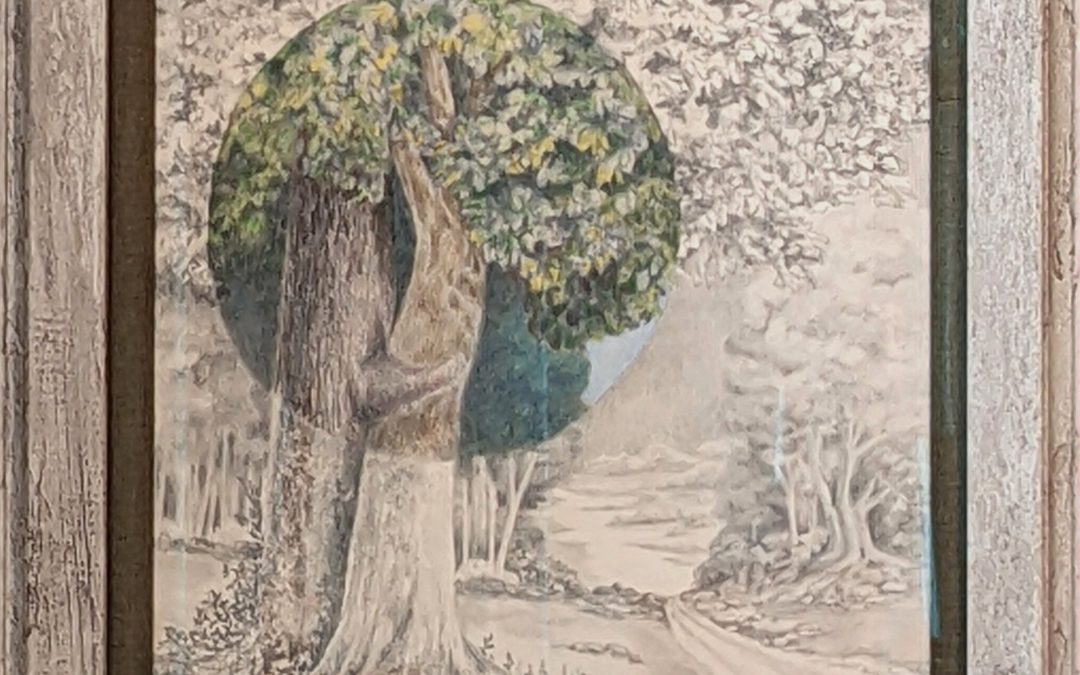Color pencil drawing of trees. Most of painting is in sepia tone with a circular area done in color highlighting part of the trees