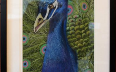 Proud as a Peacock
