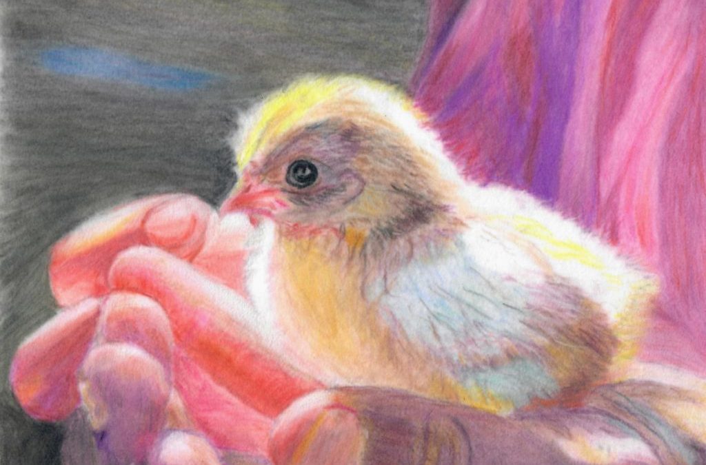 painting of baby chick in the palm of someone's hand. The lighting is soft and the clothing of the person is pink behind the yellow and white of the chick