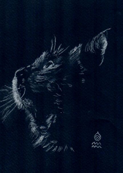 Jean Lorrah - Fascinated Cat