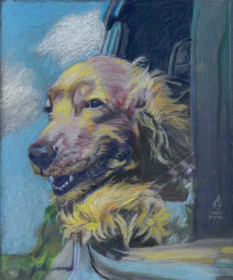 Painting of a happy looking golden retriever dog who's head is hanging out the car window enjoying the wind in its face
