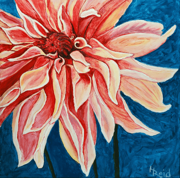 Heather Reid - Delightful Dahlia, Acrylic 20x20