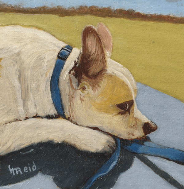 Heather Reid - Jack, Oil 6x6
