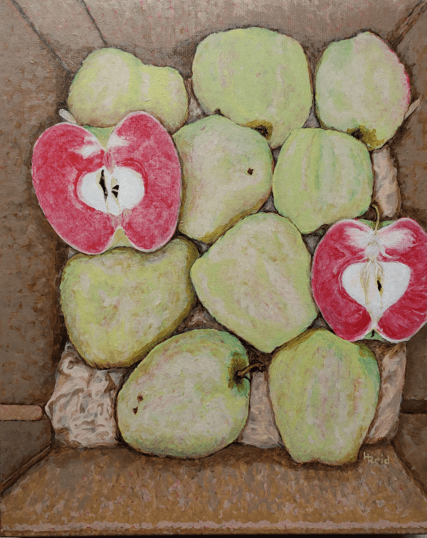 Heather Reid - Rose Apples, Acrylic 18x20