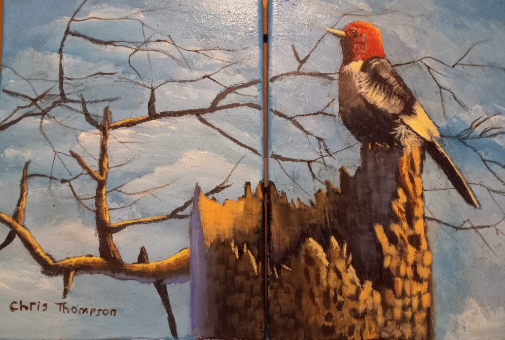 Chris Thompson - On the Lookout (diptych), 2 12 x16 canvases