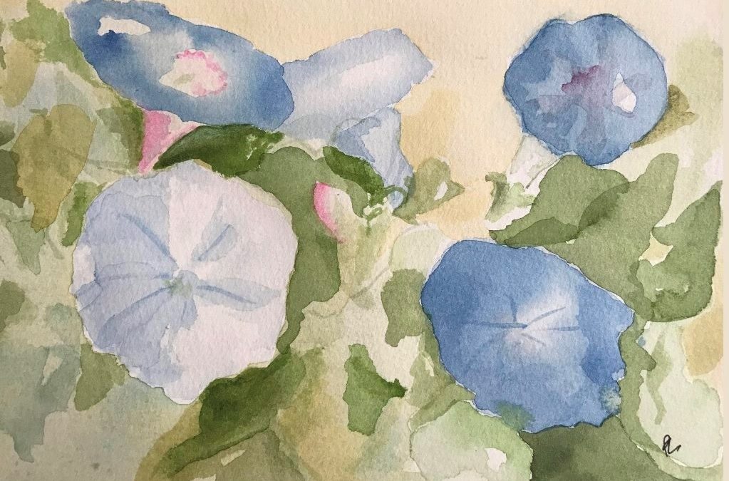 water color painting of blue and white morning glories