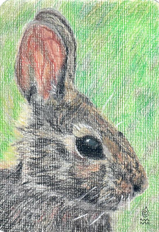Jean Lorrah - Sunny Bunny
