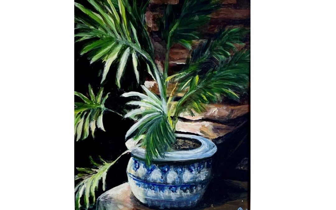 Large green plant in a blue and white pot. The sun shines brightly on parts of the leaves and table surface creating lights and darks