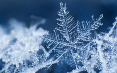 Inclement Weather Closure