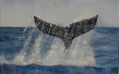 A Whale of a Tale!