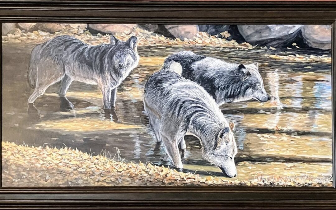 Painting showing 3 wolves in a cool stream drinking water