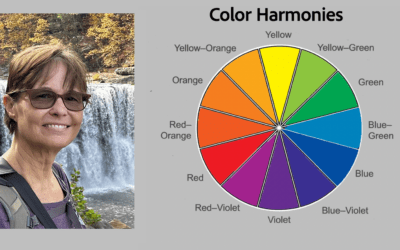 Color Wheel Part 4: Color Harmonies